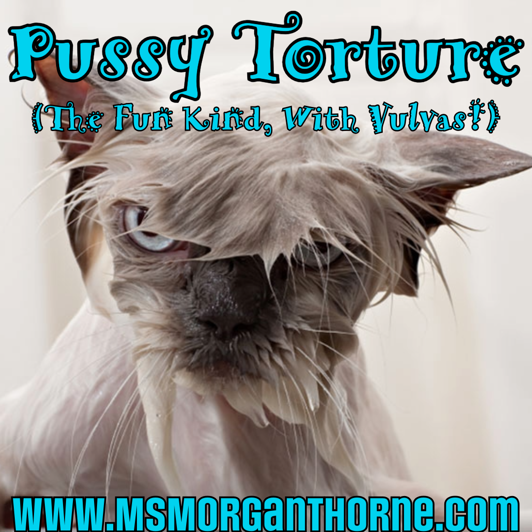 Pussy Torture 101 - Online Class LIVE! - May 8, 2025