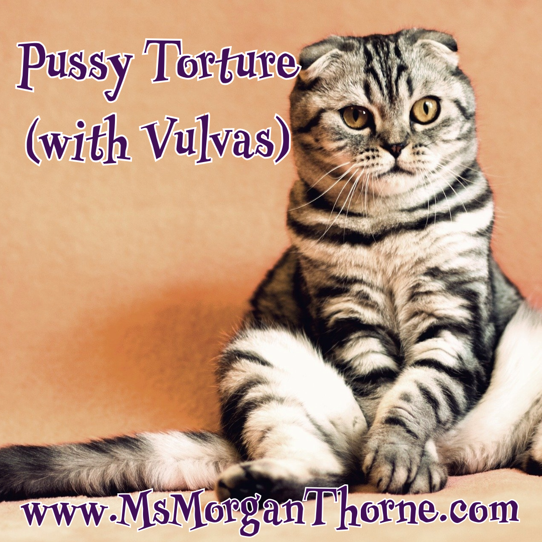 Pussy Torture 101 - Online Class LIVE! - May 8, 2025