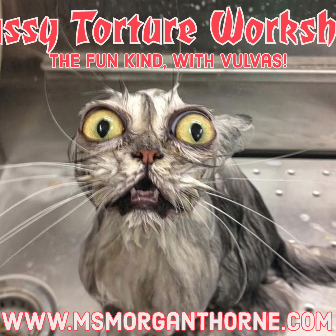 Pussy Torture 101 - Online Class LIVE! - May 8, 2025