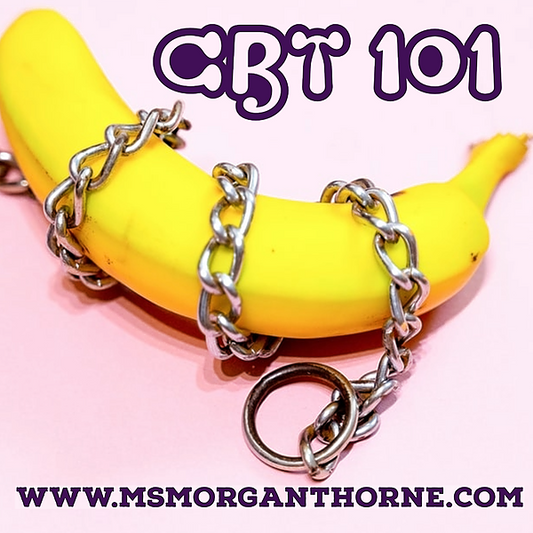 CBT 101 (NOT the therapy kind!)