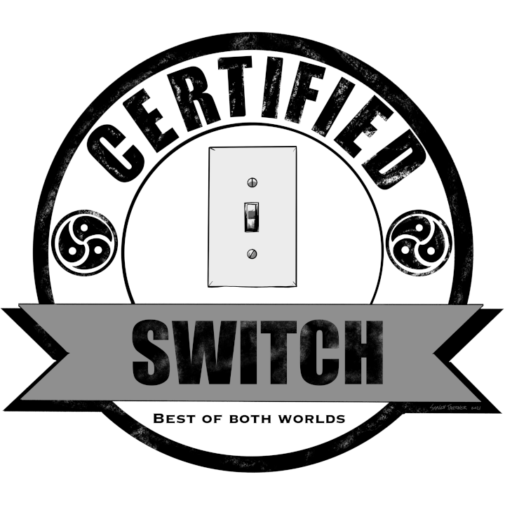 Certified Switch - Certified Kinky T-shirts