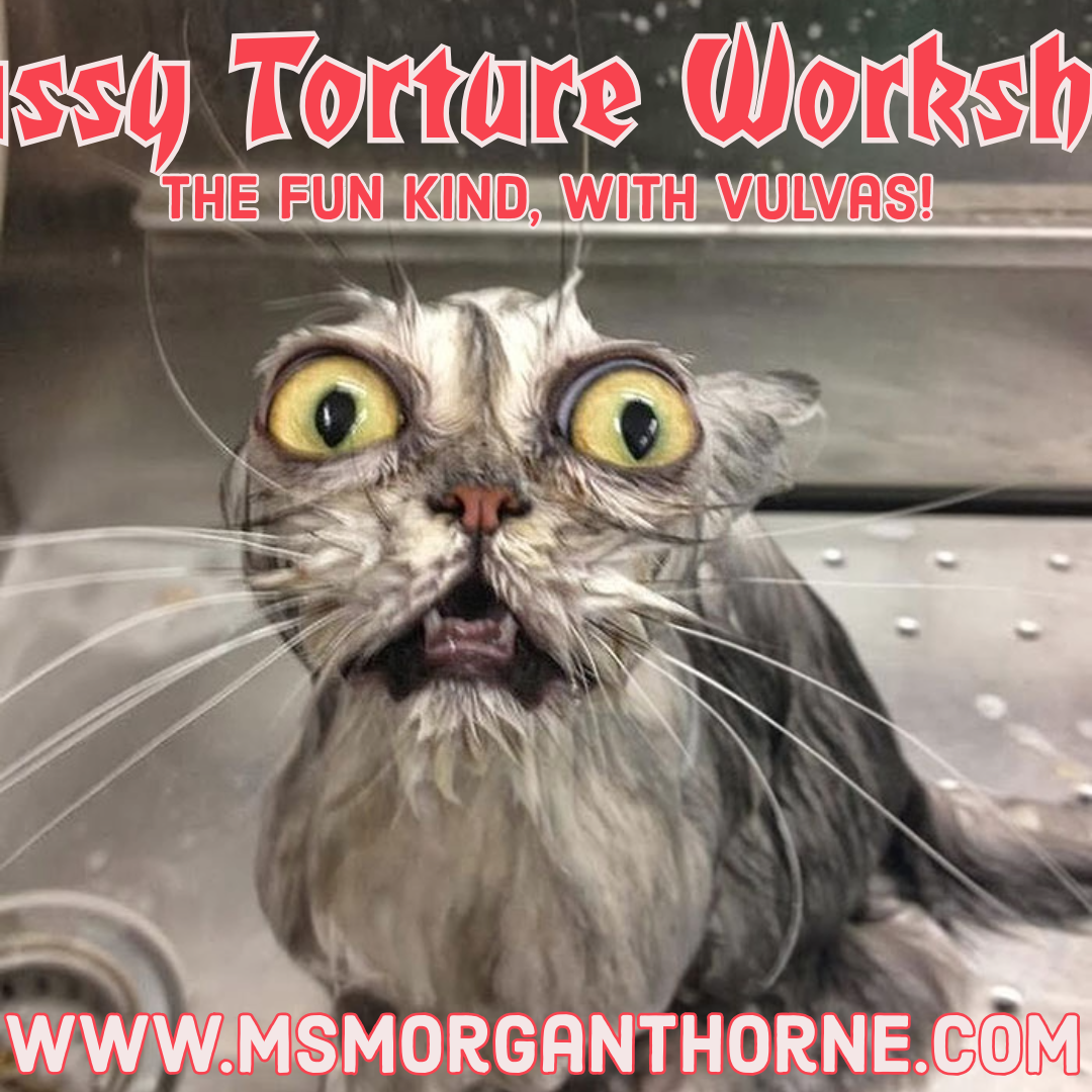 Pussy Torture 101 - Online Class LIVE! - November 21, 2024