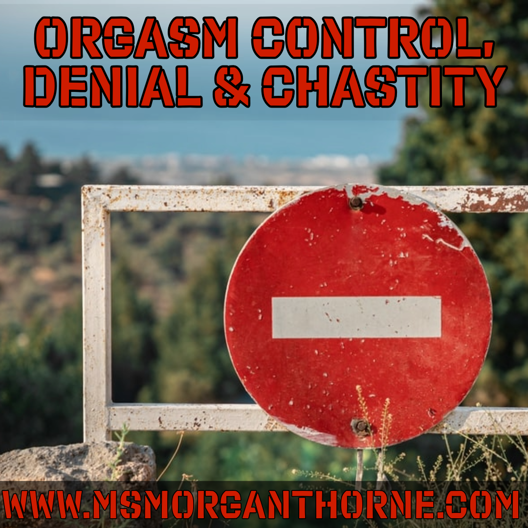 Orgasm Control, Denial & Chastity - Live Online Class - February 23, 2025